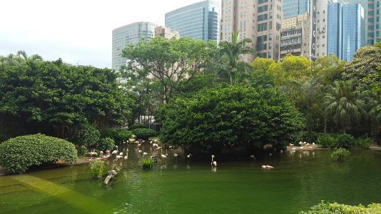 Kowloonpark